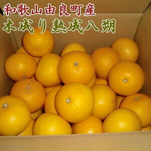 yӂ邳Ɣ[Łzys\zyYzy2026Ns\za̎RRǒY̖ؐn10kgwTCYIׂxiS`LTCY/L`4LTCY͂j2026N3{`2026N4{