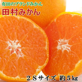 【ふるさと納税】【ブランドみかん】田村みかん約5kg（2Sサイズ・秀品）★2025年11月下旬～2025年12月下旬頃より順次発送【TM105】 | 和歌山県 由良町 和歌山 由良 和歌山県由良町 楽天ふるさと 納税 取り寄せ お取り寄せ フルーツ ご当地 みかん ミカン 蜜柑 柑橘 柑橘類