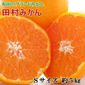 【ふるさと納税】【ブランドみかん】田村みかん約5kg（Sサイズ・秀品）★2025年11月下旬～2025年12月下旬頃より順次発送【TM104】 | 和歌山 由良 和歌山県 由良町 楽天ふるさと 納税 取り寄せ お取り寄せ フルーツ ご当地 みかん ミカン 蜜柑 柑橘 柑橘類 果物