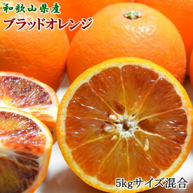 【ふるさと納税】【希少・高級柑橘】国産濃厚ブラッドオレンジ「タロッコ種」約5kg★2026年4月上旬～2026年4月下旬頃より順次発送予定【TM149】 | 和歌山 由良 和歌山県 由良町 和歌山県由良町 楽天ふるさと 納税 取り寄せ お取り寄せ フルーツ 果物オレンジ 柑橘