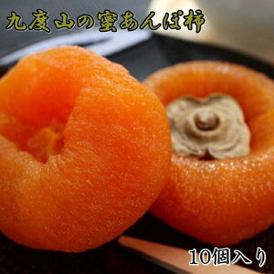 yӂ邳Ɣ[ŁzyYzxRۊ`uہv傫߃TCY10ܓ聚2025N12{菇yTM117z`  JL Ƃ낯 R̊Â