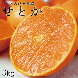 【ふるさと納税】とろける食感！ジューシー柑橘　せとか　約3kg【予約】※2026年2月下旬頃〜2026年3月下旬頃発送(お届け日指定不可) | 和歌山県由良町 ふるさと 納税 取り寄せ お取り寄せ フルーツ お取り寄せフルーツ ご当地 果物 柑橘 柑橘類 かんきつ類 くだもの