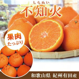 yӂ邳Ɣ[ŁzIBLcYsm(ʂ) 2.5kg`5kgyUT61z | t[c ʕ  Hi lC  