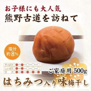 yӂ邳Ɣ[ŁzIB썂~ ݂͂薡~ 500g ƒp yUS31z |  t[c ʕ  Hi lC  