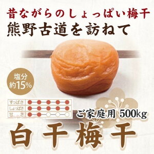 yӂ邳Ɣ[ŁzIB썂~ ~ 500g ƒp yUS34z |  t[c ʕ  Hi lC  