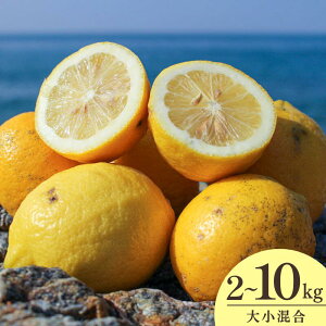 yӂ邳Ɣ[ŁzV[Ys\񁄘a̎RYnIׂeʁTCY召 2kg 3kg 5kg 7kg 10kg ܂Ŏgp\Iy2026N1{菇\z /  m[bNX 
