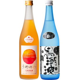 【ふるさと納税】焼酎 黒潮波（くろしおなみ）720mlと紀州完熟南高梅「梅酒」720mlの2本セット【TM19】 | 和歌山 由良 和歌山県由良町 ふるさと 納税 酒 お酒 アルコール飲料 取り寄せ お取り寄せ ご当地 地酒 飲み比べ セット 飲み比べセット 詰め合わせ