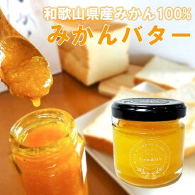 【ふるさと納税】和歌山県 みかんバター 400g(80g×5瓶)