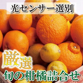 【ふるさと納税】＜1月より発送＞厳選 旬の 柑橘詰合せ5kg+150g（傷み補償分） | フルーツ 果物 くだもの 食品 人気 おすすめ 送料無料