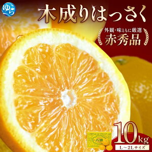 �y�ӂ邳�Ɣ[�Łz ���� �ԏG �ؐ���͂�����10kg ��2026�N3�����{���`���������\��(���͂����w��s��) / �G�i ���� �n�b�T�N �R�� �ӊ� �a�̎R