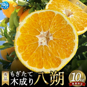 yӂ邳Ɣ[Łz Gi Ėؐ蔪 10kg@p 2026N2{ɏ\