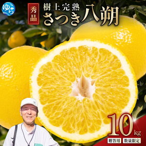 yӂ邳Ɣ[Łz ㊮n@a̎RRǎY@Gi 10kg@p 2026N4ɏ\