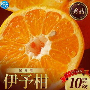 【ふるさと納税】【来シーズン先行予約】伊予柑 和歌山みかん 秀品 10kg 贈答用※2026年1月中旬頃に順次発送予定 / いよかん 柑橘 贈り物 フルーツ 果物 くだもの 食品 人気 おすすめ 送料無料