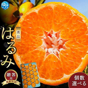 �y�ӂ邳�Ɣ[�Łz�y���V�[�Y����s�\��z�͂�� �a�̎R�݂��� �G�i �����p�m�I�ׂ�T�C�Y�n��2026�N1�����{���ɏ��������\�� / �͂�� ���k ���蕨 �t���[�c �ʕ� �������� �H�i �l�C ������