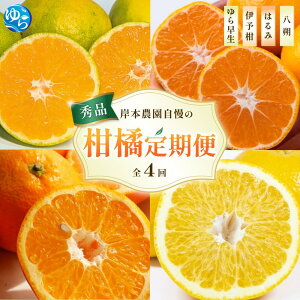 【ふるさと納税】【先行予約】岸本農園自慢の 柑橘定期便 ※2025年10月頃より順次発送予定 / ゆら早生 伊予柑 いよかん はるみ 八朔 はっさく 柑橘 フルーツ 果物 くだもの 定期便 4回 食品 人