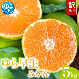 【ふるさと納税】先行予約 ≪訳あり≫ ゆら早生みかん 5kg 【2025年10月中旬～順次発送予定】/ みかん ミカン 和歌山県 柑橘 早生 甘い 蜜柑 フルーツ 果物 くだもの 食品 産地直送 由良町 ご家庭用 ゆら早生 早生みかん