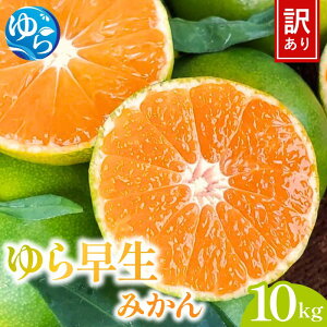 yӂ邳Ɣ[Łzs\ 󂠂 瑁݂ 10kg y2025N10{`\z/ ݂ ~J a̎R k  Â  t[c ʕ  Hi Yn Rǒ 