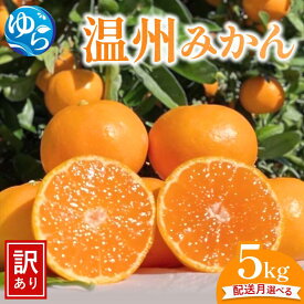 【ふるさと納税】先行予約 ≪訳あり≫ 温州みかん 5kg 【配送月が選べる】/ みかん ミカン 和歌山県 柑橘 甘い 蜜柑 フルーツ 果物 くだもの 食品 産地直送 由良町 ご家庭用 温州 温州ミカン わけあり ワケアリ mikan