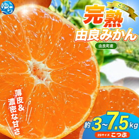 【ふるさと納税】 【評価4.8超！】 みかん 小玉 完熟 由良みかん / 温州 みかん こつぶ 小粒 和歌山 甘い 高級 3kg 5kg 7.5kg ※2026年11月下旬～12月下旬に順次発送予定