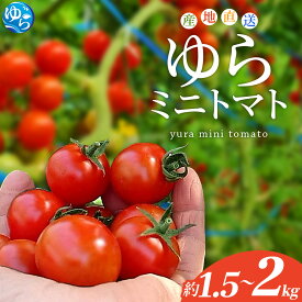 【ふるさと納税】 ミニトマト ゆら / プチトマト 和歌山 産地直送 甘い トマト 由良 2kg ※2026年10月中旬頃から順次発送予定(お届け日指定不可)