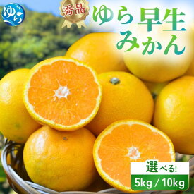 【ふるさと納税】 秀品 ゆら早生みかん 5kg 10kg【2025年10月初旬～順次発送予定】/ みかん ミカン 和歌山県 柑橘 早生 甘い 蜜柑 フルーツ 果物 くだもの 食品 産地直送 由良町 ゆら早生 早生みかん