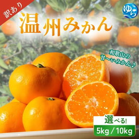 【ふるさと納税】 ＼訳あり／ 温州みかん 5kg 10kg【2025年11月下旬～順次発送予定】/ 数量限定 みかん ミカン 和歌山県 柑橘 早生 甘い 蜜柑 フルーツ 果物 くだもの 食品 産地直送 由良町 ご家庭用 温州 訳ありみかん
