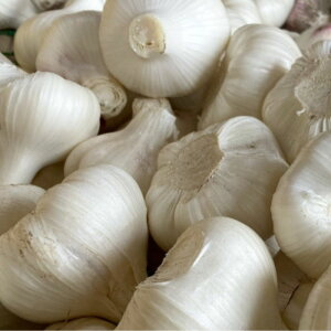 yӂ邳Ɣ[Łz ɂɂ Gi / jjN K[bN Rǒ / (LE2L) 500g 1kg 1.5kg 2kg / 2026N4{`