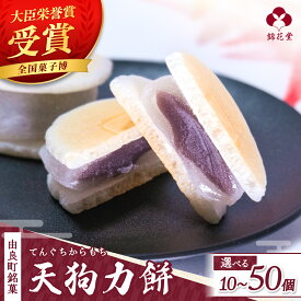 【ふるさと納税】 和菓子 天狗力餅 / あんこ 餡子 こしあん 菓子 銘菓 錦花堂 ギフト 由良町 //meisan //best