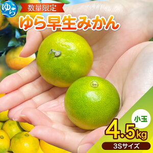 yӂ邳Ɣ[Łz ݂  瑁 / 4.5kg 3STCY 8000~     ɑ ʌ 2025N10{`