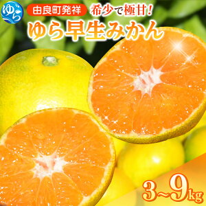 yӂ邳Ɣ[Łz y2026NHEIz  瑁 ݂ / 3kg 4.5kg 9kg ɑ B݂ a̎R Rǒ Â _팸 2026N10{` //meisan //best