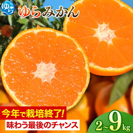 【ふるさと納税】 【限定企画実施中！】今年で最後の ゆらみかん / 温州 みかん 和歌山 由良町 甘い / 2kg 4.5kg 9kg ※2025年12月10日から順次発送開始