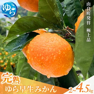 �y�ӂ邳�Ɣ[�Łz �y2026�N�H�E�������I�z�݂��� ��瑁�� ���n / ���� �ɑ��� ���B�݂��� �a�̎R �R�ǒ� �Â� 2kg 3kg 4.5kg ����s�\�� 2026�N11����{����