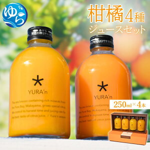 yӂ邳Ɣ[Łz ݂ W[X k 4 / W[XZbg hN IWW[X MtgΉ\ a̎R Rǒ _  ʎ ʏ`100 1L //kakou
