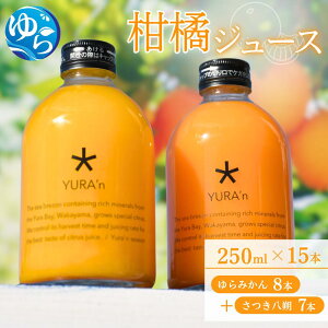 yӂ邳Ɣ[Łz k W[X i ݂  j / W[XZbg hN IWW[X a̎R Rǒ _  ʎ ʏ`100 250ml×15{ //kakou //meisan