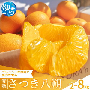 yӂ邳Ɣ[Łz   n / ͂ ݂ k ӊ a̎R Rǒ Â _ƒ _ / 2kg 4kg 8kg 2026N3{甭\