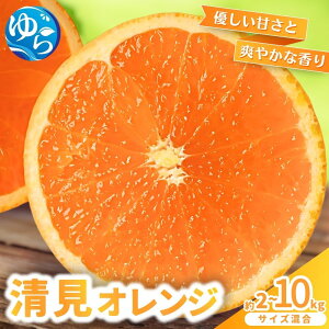 yӂ邳Ɣ[Łz  IW / ݂  k ӊ a̎R Rǒ _ƒ / 2kg 5kg 10kg (TCYj 2026N3{`