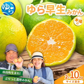 【ふるさと納税】 ＼評価4.9超！／【2026年秋・発送分】 みかん ゆら早生 / 5kg 10kg 極早生 早生 温州みかん 和歌山 柑橘 由良町 農家直送 ※2026年10月中旬～10月下旬順次発送農家直送 //yurawase //meisan