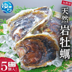 �y�ӂ邳�Ɣ[�Łz �V�R �≲�y ���M�H�p / ���y ���� �J�L ���� �T�C�Y�I�ׂ� ��2026�N4��1����菇�������\�� �������z���s��