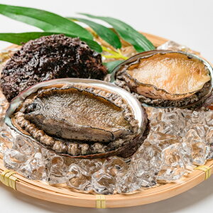 �y�ӂ邳�Ɣ[�Łz�V�R���A���r1kg�I�y�f���苙�t�����z | ����� � ������� ��� ����� ���Y �H�i �C�Y�� �a�̎R�� �R�ǒ� �������� �l�C �������� ��������