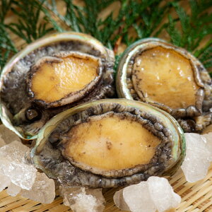 �y�ӂ邳�Ɣ[�Łz�V�R���K�C�A���r1kg�I�y�f���苙�t�����z2026�N3��1����菇�������\�� | ����� � ���K�C����� ����� ���Y �H�i �C�Y�� �a�̎R�� �R�ǒ� �������� �l�C �������� ������