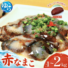 【ふるさと納税】＼先行予約／活 なまこ 赤なまこ 1kg 2kg【2025年12月20日より順次発送】 / ナマコ 海鮮 海の幸 新鮮 なまこ酢 刺身 珍味 天然 郷土料理 海産物おすすめ 特産 産地直送 和歌山 由良町 //kaisen //best