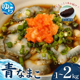 【ふるさと納税】＼先行予約／活 なまこ 青なまこ 1kg 2kg 【2025年12月20日より順次発送】 | ナマコ 海鮮 海の幸 新鮮 なまこ酢 刺身 珍味 漁師直送 産地直送 塩辛 天然 郷土料理 海産物おすすめ 特産 ふるさと納税 和歌山 由良町 //best //kaisen