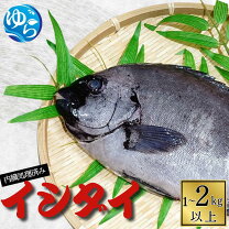 楽天市場】石鯛の通販