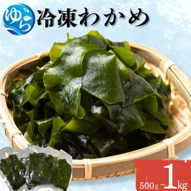 【ふるさと納税】冷凍わかめ 【容量が選べる】500g～1kg【令和7年度産】 / 食品 海の幸 海鮮 小分け カイセン海鮮類 ワカメ 冷凍ワカメ 酢の物 サラダ 簡単調理 お味噌汁 冷凍 和歌山県 由良町 //meisan