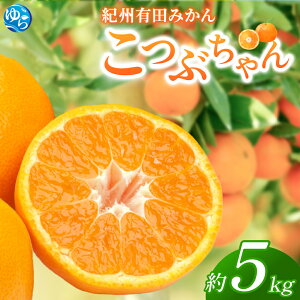 yӂ邳Ɣ[ŁzIBLc݂@Ԃ@5kg | 2025N11{`2026N1{\ | ݂ ~J Lc  a̎R k t[c ʕ  ƒp Z s\