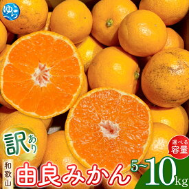 【ふるさと納税】和歌山由良みかん【容量が選べる】約5kg 約10kg 訳あり キズ 御家庭用 サイズ混合 | ※2025年11月下旬～2026年1月中旬頃順次発送予定 | みかん ミカン 和歌山 由良 おまかせ フルーツ 果物 柑橘 和歌山県産 お取り寄せ ふるさと納税 返礼品