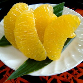 【ふるさと納税】和歌山由良町産 はっさく 約10kg 秀品 サイズおまかせ (Lまたは2L) いずれかお届け ※2026年3月下旬より順次発送