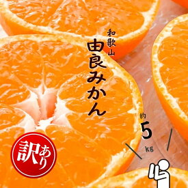【ふるさと納税】和歌山由良みかん　約5kg　訳あり　キズ　御家庭用　サイズ混合 | ※2025年11月下旬～2026年1月中旬頃順次発送予定 | みかん ミカン 和歌山 由良 おまかせ フルーツ 果物 柑橘 和歌山県産 お取り寄せ ふるさと納税 返礼品