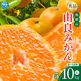 【ふるさと納税】和歌山由良みかん 秀品 サイズおまかせ(L・М・S) 約5kg 約10kg | ※2025年11月下旬～2026年1月中旬頃順次発送予定 | みかん ミカン 和歌山 由良 おまかせ フルーツ 果物 柑橘 和歌山県産 お取り寄せ ふるさと納税 返礼品