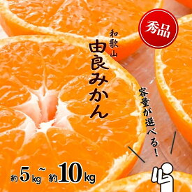 【ふるさと納税】和歌山由良みかん 秀品 サイズおまかせ(L・М・S) 約5kg 約10kg | ※2025年11月下旬～2026年1月中旬頃順次発送予定 | みかん ミカン 和歌山 由良 おまかせ フルーツ 果物 柑橘 和歌山県産 お取り寄せ ふるさと納税 返礼品